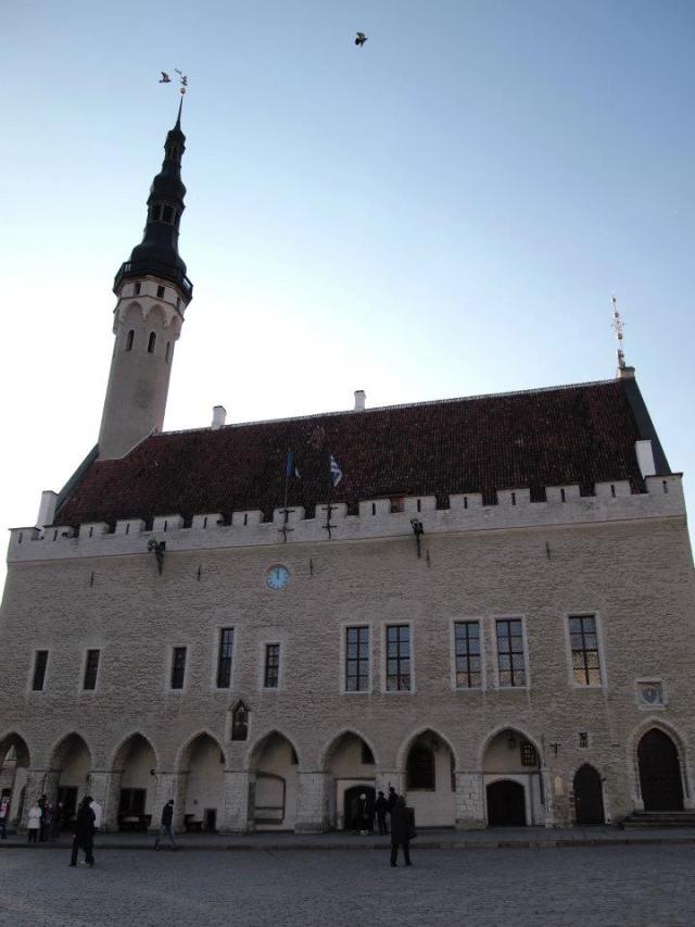 295849_2320046313460_73653082_n