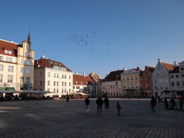 317011_2320046193457_317560316_n