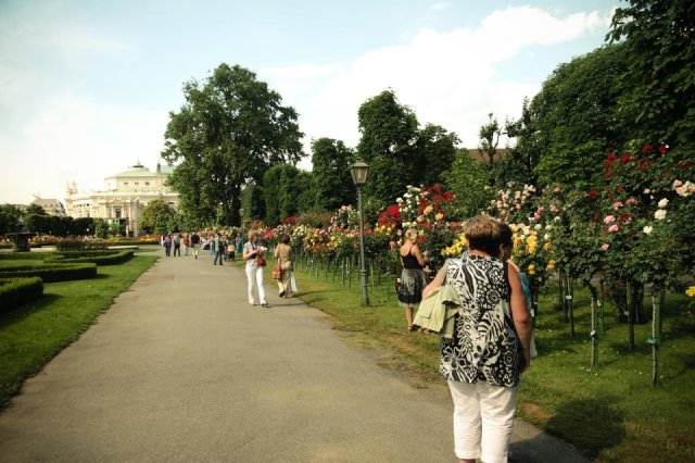 579827_3659102629031_842519958_n