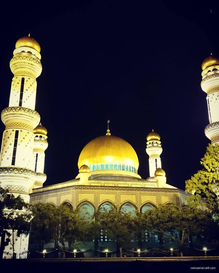 13166072_10208032997795604_5553719849780189174_n